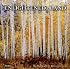 Enlightened Land 2008 Wall Calendar
