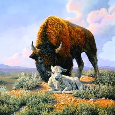 the Gift (White Buffalo) 500pc Jigsaw Puzzle by Bonnie Marris