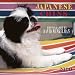 Japanese Chins 2000 Calendar