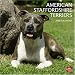 American Staffordshire Terriers 2010 Square Wall