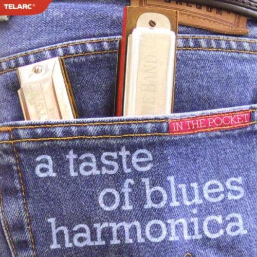 In the Pocket: Taste of Blues Harmonica