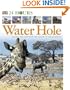 Water Hole (DK 24 HOURS)