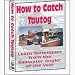 BENNETT DVD HOW TO CATCH TOG TAUTOG Model # F3616DVD