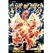 Flame of Recca, Vol. 33