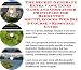 Book The Secret Generate Extra Cash, Inner Game and Godfather Principles for Badminton Shuttlecocks Web Biz 3 Course + Resource Guide