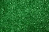 Indoor/Outdoor Green Grass Turf Area Rug 5'x6'