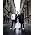 Vignette de Muse