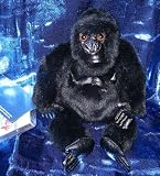  : Disney's Mighty Joe Young Gorilla 7