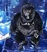 Search : Disney's Mighty Joe Young Gorilla 7