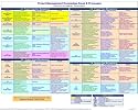 PMP Project Management Knowledge Areas & Processes