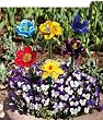 6 Assorted Garden Flower Stakes