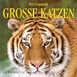 Grosse Katzen