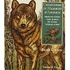 Chamanisme et messages d'animaux : Trouvez votre voie aupr�s de votre