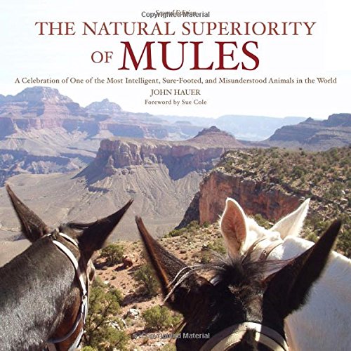 the natural superiority of mules a celebration of one of the most intelligent sure footed and misunderstood