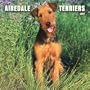 Airedale Terriers 2007 Calendar