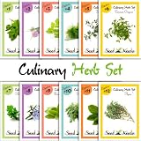 12 Culinary Herb Assortment (Sage, Rosemary, Spearmint, Basil, Oregano, Cilantro, & More!) Seeds by Seed Needs
