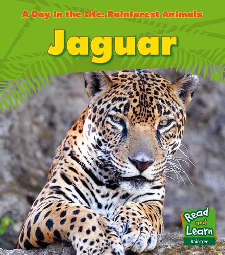 jaguar read and learn a day in the life rainforest animals