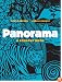 Panorama: A Foldout Book