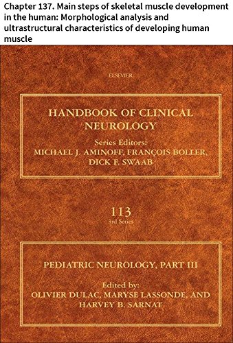 Pediatric Neurology Part III: Chapter 137. Main steps of skeletal muscle development in the human: Morphological analysis and ultrastructural characteristics ... muscle (Handbook of Clinical Neurology)