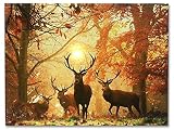 Deer Picture - LED Big Buck Wrapped Canvas Print - White Tail Deer in Autumn Forest - Wildlife Wall Decoration - Deer Decor - Glowing Canvas Picture - 16x12 Inch