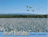 Desert Wetlands