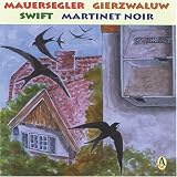 Mauersegler /Gierzwaluw /Swift /Martinet noir: Mauersegler gezielt ansiedeln. Dt. /Niederl. /Engl. /Franz.