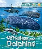 Whales and dolphins