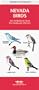 Nevada Birds: An Introduction to Familiar Species (Pocket Naturalist)