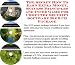 The Special How To Earn Extra Money, Marketing and Success Principles for Computer Security Software On-line Businesses 3 CD Power Pack
