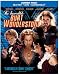 Incredible Burt Wonderstone [Blu-ray] [2013] [US Import]
