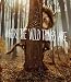 Where the Wild Things Are