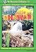 Search : Waterfalls of Hawaii: Multi-Island (Hawaiin Collection)