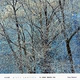 Mozart - Piano Quartets