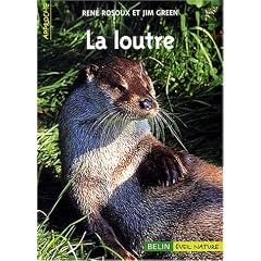 La loutre