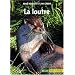 La loutre