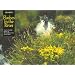 Flashes in the River: The Flyfishing Images of Arthur Shilstone and Ed Gray (Images)