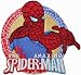 Spiderman Amazing Classic Embroidered Iron On movie Patch SPI-15