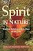 Spirit in Nature: Teaching Judaism and Ecology on the Trail
