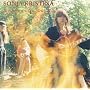 Songs from the Acid Folk