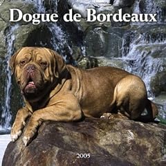 Dogue De Bordeaux 2005 Calendar