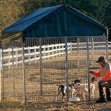 ShelterLogic Dog Kennel, Green Cover with 107- Inch Peak Height, Wall Dimensions 8 x 8 x 6- Feet