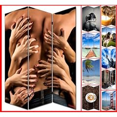 Foto-Paravent Paravent Raumteiler Spanische Wand M68
