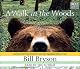 A Walk in the Woods