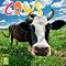Cows . . in 2012 Calendars !