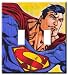 Search : Superman Double Switchplate Cover