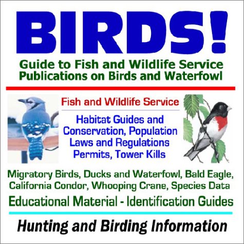 Birding