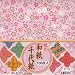Origami Paper - Washi Chiyogami Style, 100 Sheets, 10 Designs - 6" Square