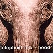 Head