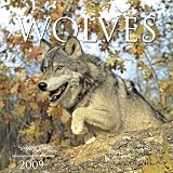 Wolves 2009 Calendar (Calendar)