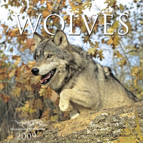 Wolves 2009 Calendar (Calendar)